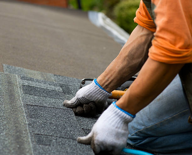 Best Residential Roofing Contractor  in Dupo, IL