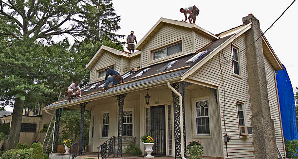 Best Storm Damage Roof Repair  in Dupo, IL